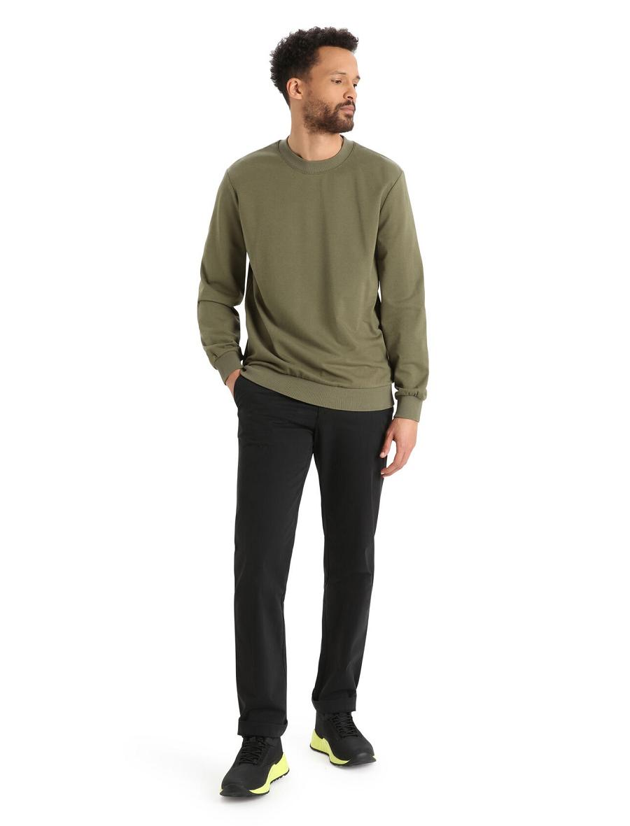 Sweat À Capuche Icebreaker Merino Central II Long Sleeve Sweatshirt Homme Vert Olive | FR 1276FDNM